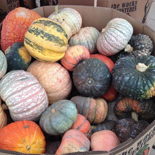 Photo taken at Trader Joe's by Jane P. on 9/27/2013-美国华盛顿州雷德蒙德路15932 Photo taken at Trader Joe's by Jane P. on 9/27/2013