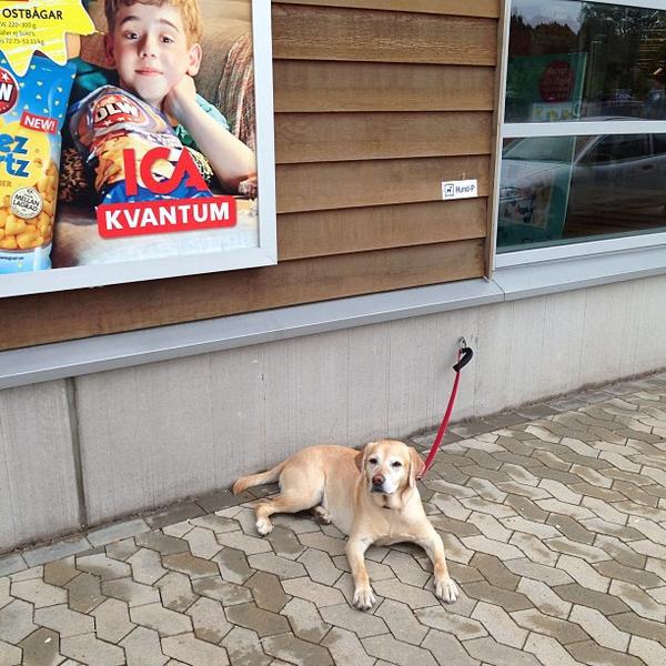 Photo taken at ICA Kvantum by Feng L. on 7/27/2013-瑞典西约塔兰省哥德堡温特路4号 Photo taken at ICA Kvantum by Feng L. on 7/27/2013