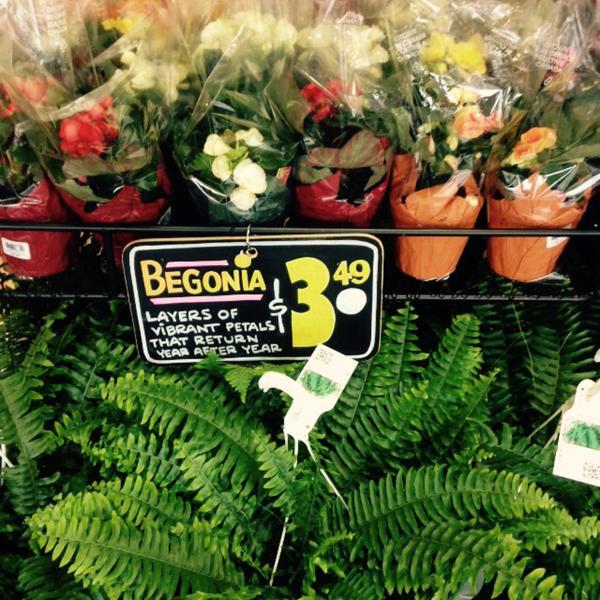 Photo taken at Trader Joe's by Michael P. on 1/4/2015-宾夕法尼亚州19046 詹金敦 老约克路933号 Photo taken at Trader Joe's by Michael P. on 1/4/2015