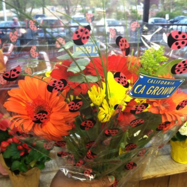 Photo taken at Trader Joe's by nikki s. on 4/19/2012-宾夕法尼亚州19046 詹金敦 老约克路933号 Photo taken at Trader Joe's by nikki s. on 4/19/2012
