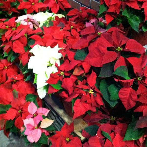 Photo taken at Trader Joe's by Hiten V. on 11/19/2012