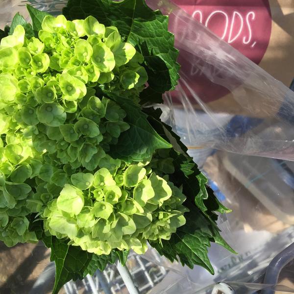 Photo taken at Whole Foods Market by Dianne H. on 12/30/2014