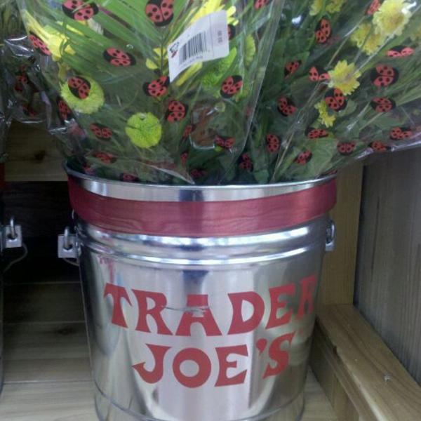 Photo taken at Trader Joe's by Suzi S. on 11/1/2011