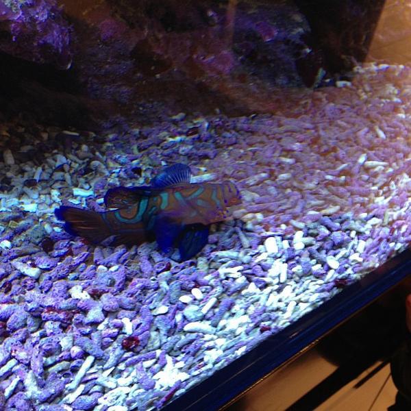 Photo taken at COOP Forum by Magnus B. on 2/27/2013