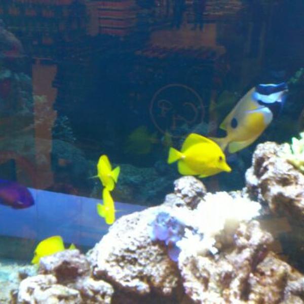 Photo taken at COOP Forum by Mårten F. on 5/15/2012