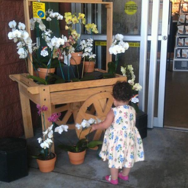 Photo taken at Whole Foods Market by Kathleen B. on 7/23/2012-美国南卡罗来纳州芒特普莱森特杜琪峰兹大道923 Photo taken at Whole Foods Market by Kathleen B. on 7/23/2012