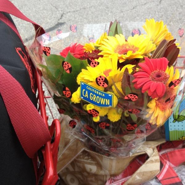 Photo taken at Trader Joe's by Bonnie P. on 11/3/2012-美国俄亥俄州西湖市场街175 Photo taken at Trader Joe's by Bonnie P. on 11/3/2012