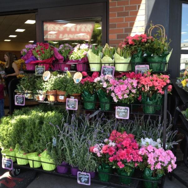 Photo taken at Trader Joe's by Shelly R. on 5/11/2012