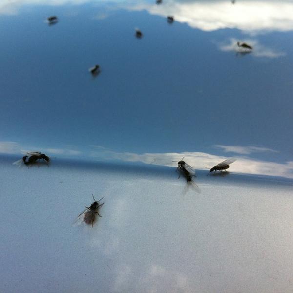 Photo taken at S-market by Pyry L. on 7/26/2012