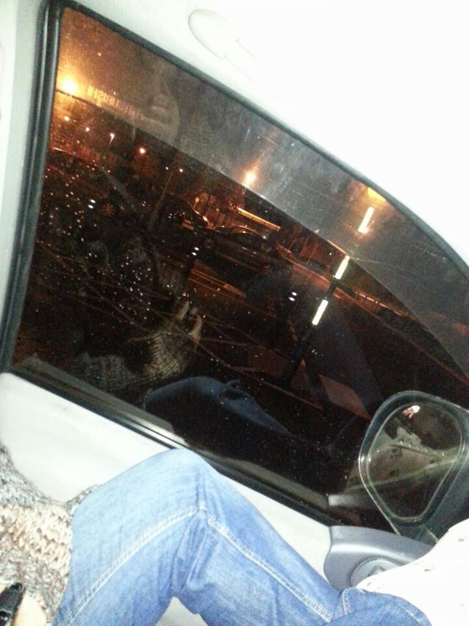 Photo taken at Sainsbury's by Richard A. on 10/25/2013