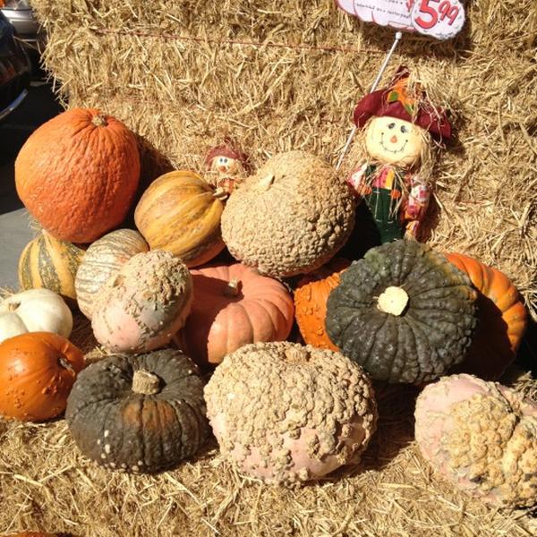 Photo taken at Trader Joe's by Monique G. on 10/9/2012