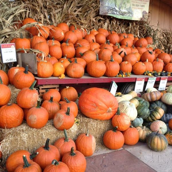 Photo taken at Whole Foods Market by Suzanne C. on 10/21/2012