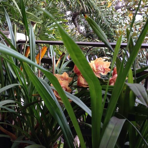 Photo taken at Trader Joe's by Gail R. on 2/19/2014