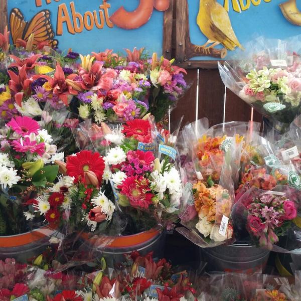 Photo taken at Trader Joe's by Jeremy N. on 12/20/2014