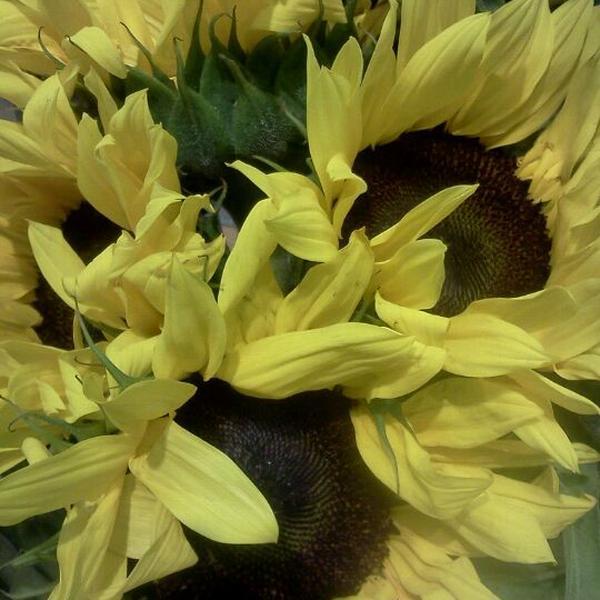 Photo taken at Whole Foods Market by Cruella M. on 3/29/2012-康涅狄格州费尔菲尔德格拉斯米尔大道350号 Photo taken at Whole Foods Market by Cruella M. on 3/29/2012