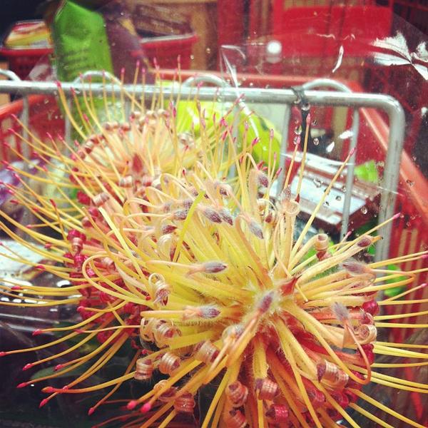 Photo taken at Trader Joe's by Matt D. on 3/26/2012