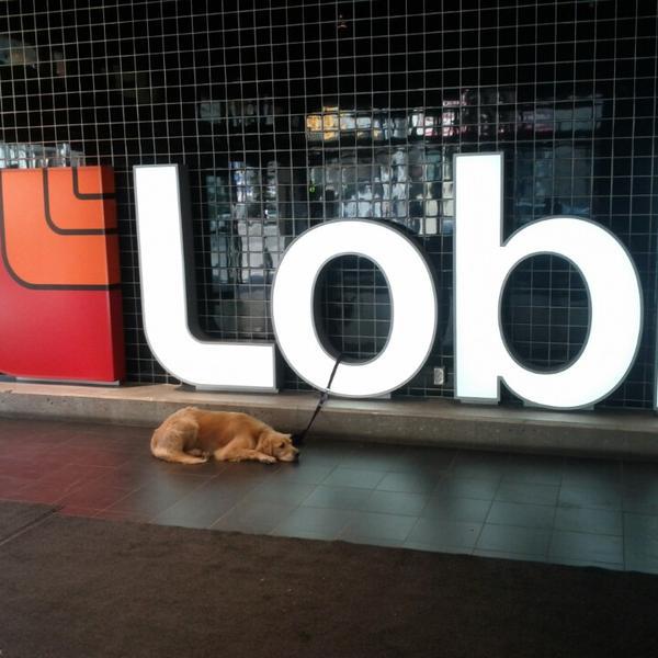 Photo taken at Loblaws by Dayes W. on 4/26/2013-加拿大多伦多卡尔顿街60 Photo taken at Loblaws by Dayes W. on 4/26/2013