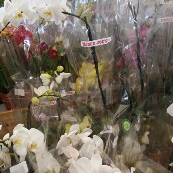 Photo taken at Trader Joe's by Trinette S. on 8/3/2014