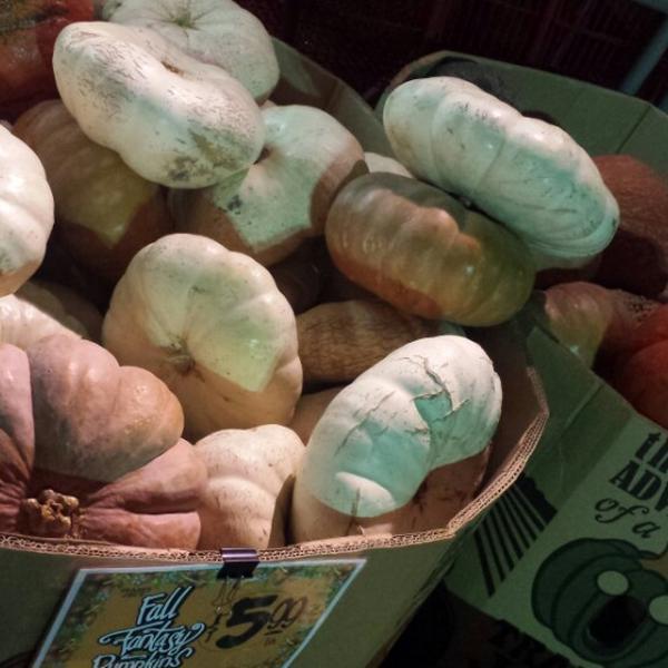 Photo taken at Trader Joe's by Raquel R. on 10/18/2014