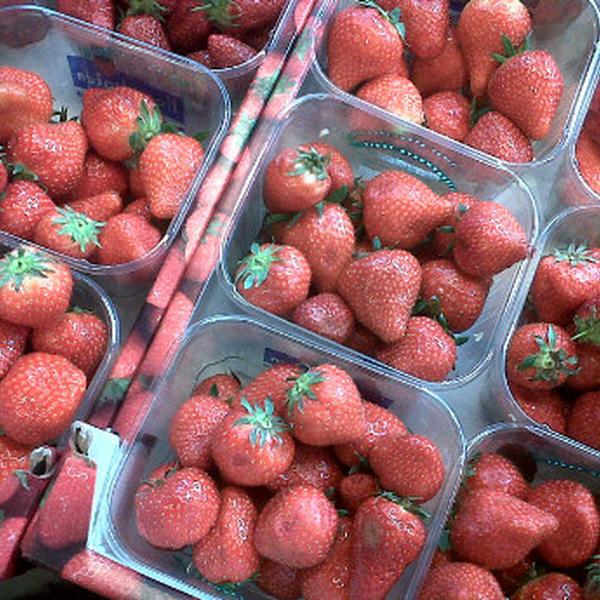 Photo taken at Proxy Delhaize by Carole L. on 4/21/2012