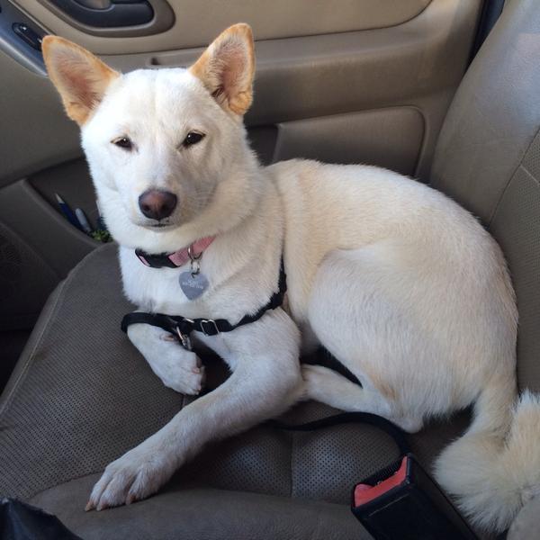 Photo taken at Trader Joe's by Sarah S. on 4/3/2014