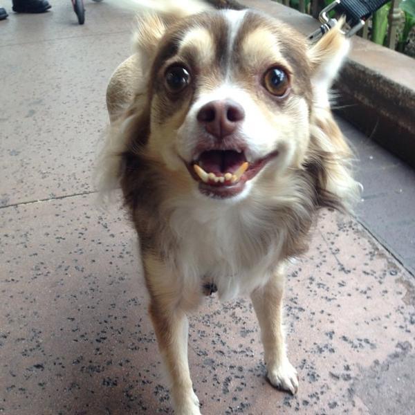 Photo taken at Trader Joe's by Isaiah W. on 7/16/2014