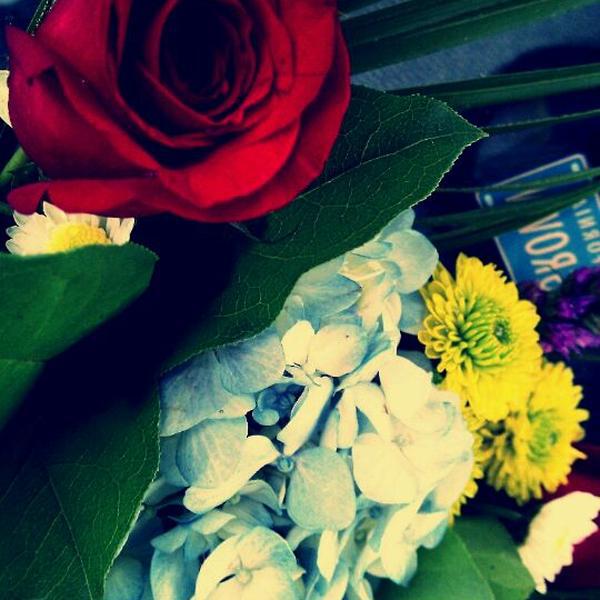 Photo taken at Trader Joe's by TJ H. on 2/14/2012