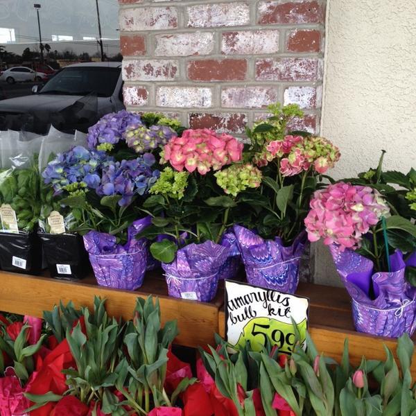 Photo taken at Trader Joe's by Xander-美国加利福尼亚州沙加缅度马可尼大道2625 Photo taken at Trader Joe's by Xander