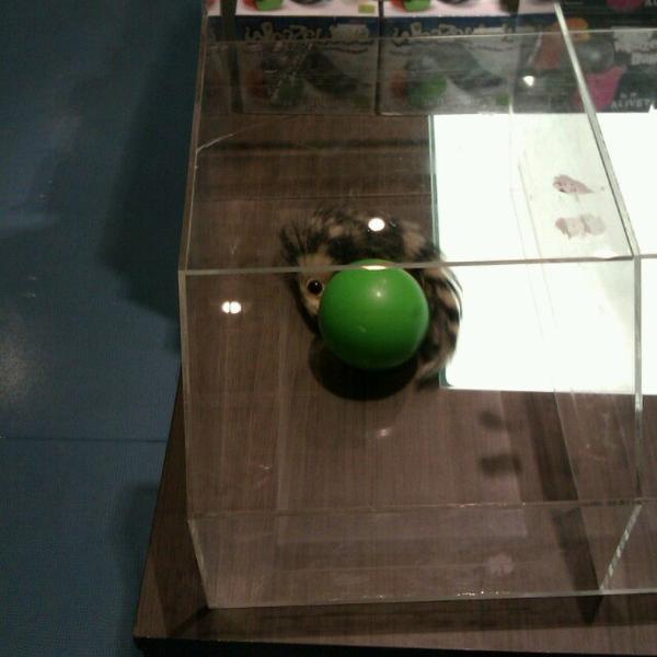 Photo taken at MERKUR by Adrien F. on 5/6/2013