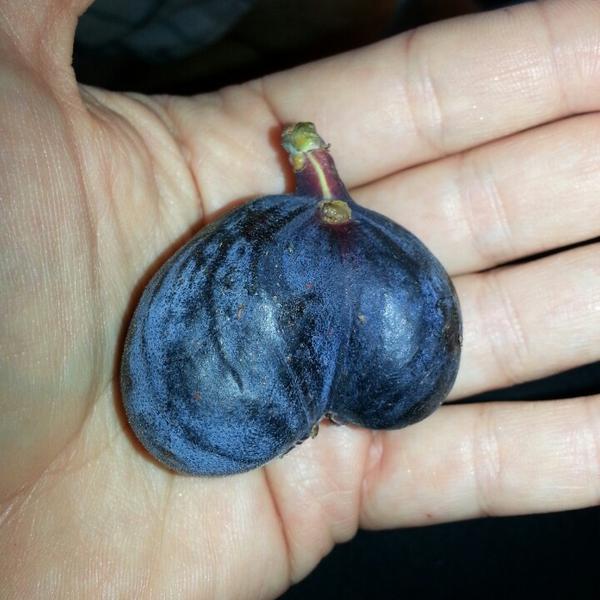 Photo taken at Whole Foods Market by Angela M. on 8/24/2013-加尼福尼亚奥克斯纳德镇中心街道650(中收集在河滨公园) Photo taken at Whole Foods Market by Angela M. on 8/24/2013