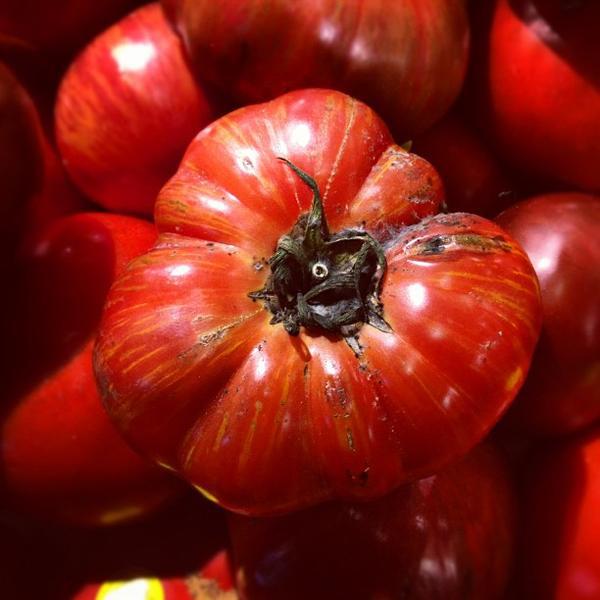 Photo taken at Whole Foods Market by Nancy W. on 12/8/2012