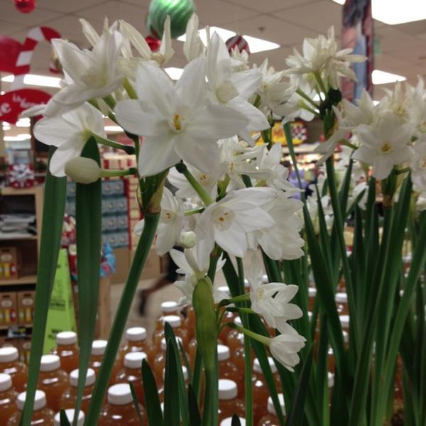 Photo taken at Trader Joe's by Carolyn H. on 12/14/2012