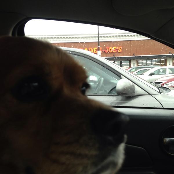 Photo taken at Trader Joe's by Kate M. on 10/6/2013