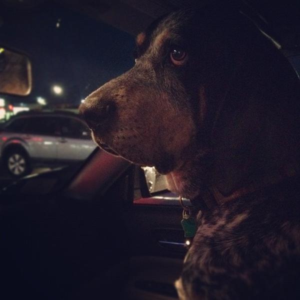 Photo taken at Trader Joe's by Lizzy F. on 10/15/2012