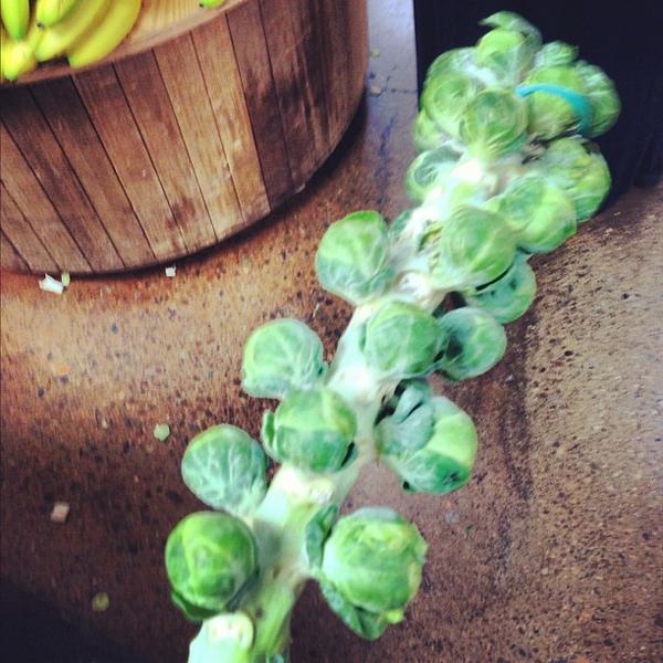 Photo taken at Trader Joe's by Gary B. on 11/20/2012