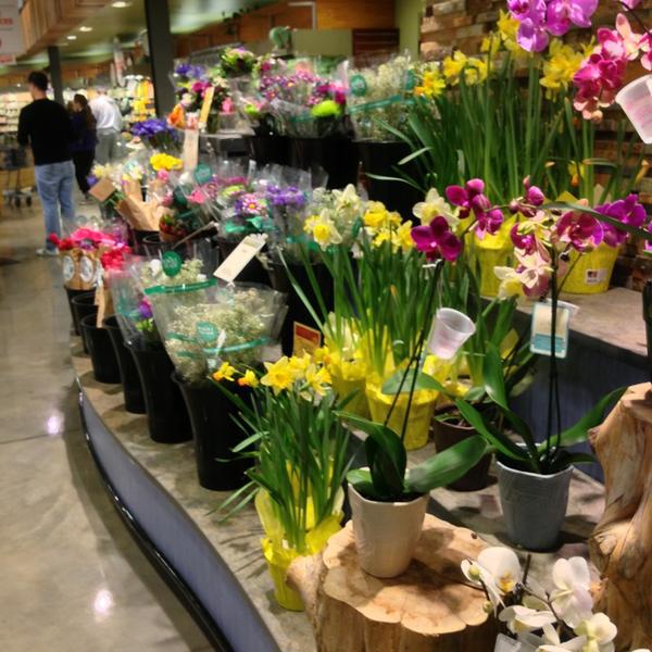 Photo taken at Whole Foods Market by Ted A. on 1/28/2013-美国弗吉尼亚州格伦 - 阿伦西广场街11173 Photo taken at Whole Foods Market by Ted A. on 1/28/2013