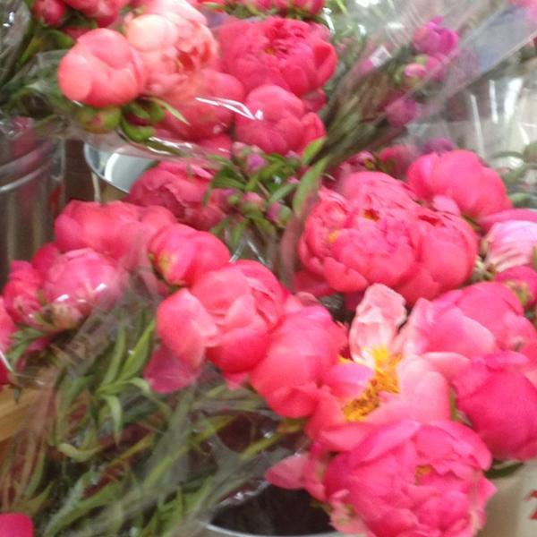 Photo taken at Trader Joe's by Brad L. on 5/17/2013-加尼福尼亚 洛杉矶海波龙大道2738(在密苏里安大略省休闲街) Photo taken at Trader Joe's by Brad L. on 5/17/2013