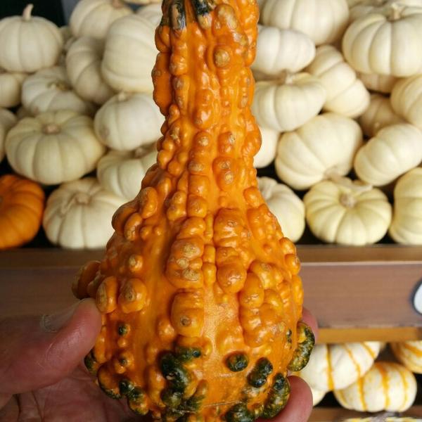 Photo taken at Trader Joe's by Jef P. on 9/24/2014