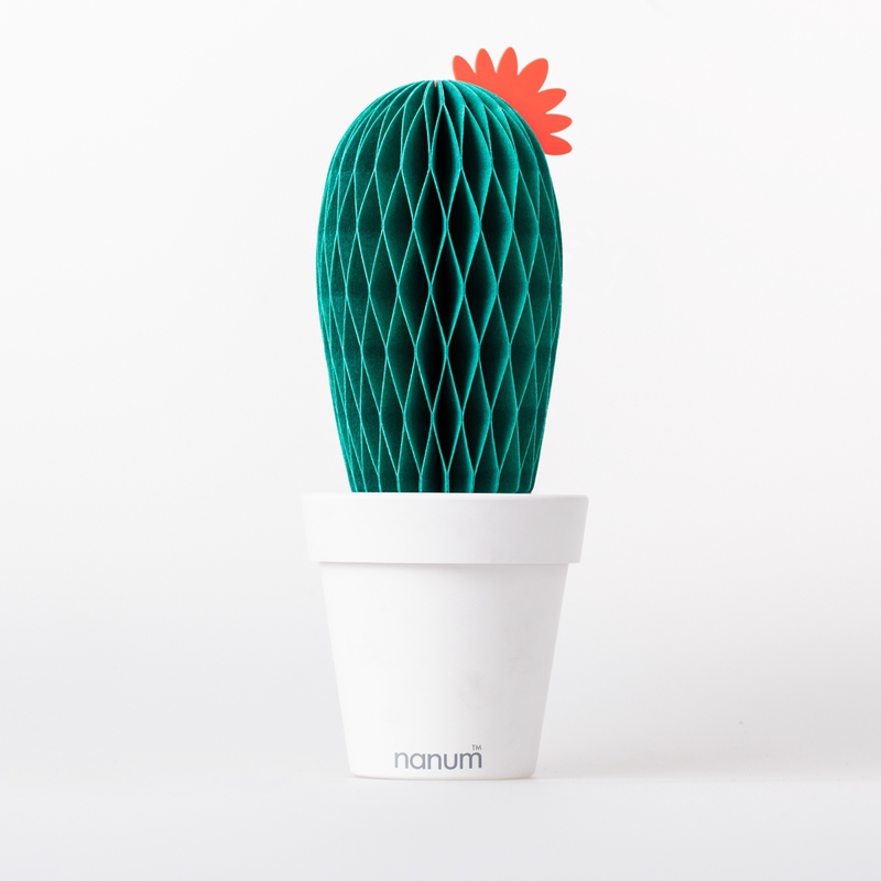 韩国进口香薰加湿器-I2M仙人球盆栽加湿器 韩国进口香薰加湿器-I2M仙人球盆栽加湿器