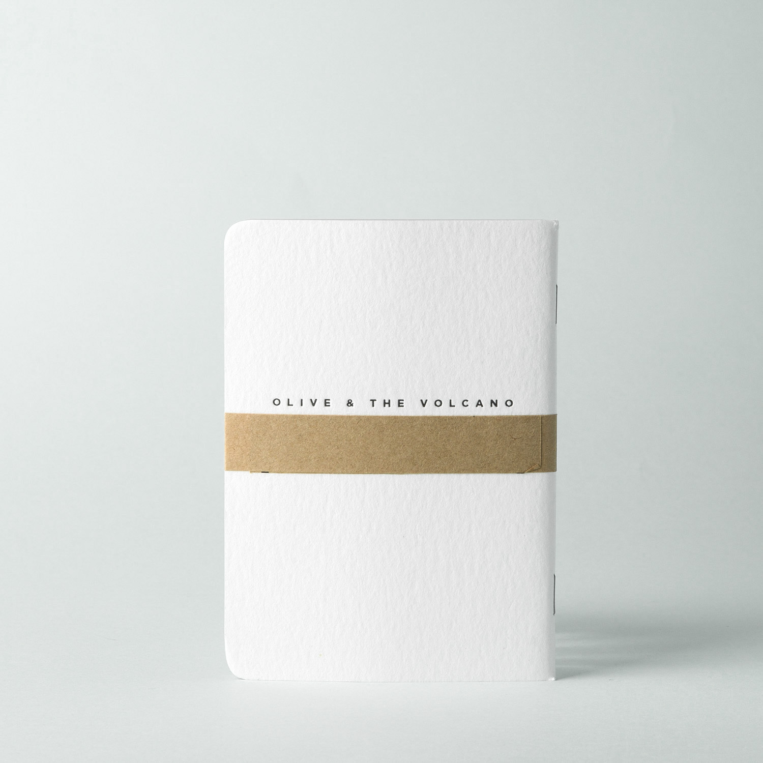 澳大利亚进口印刷笔记本-Olive and the Volcano凸版印刷笔记本A6（冷杉树箭头图案）