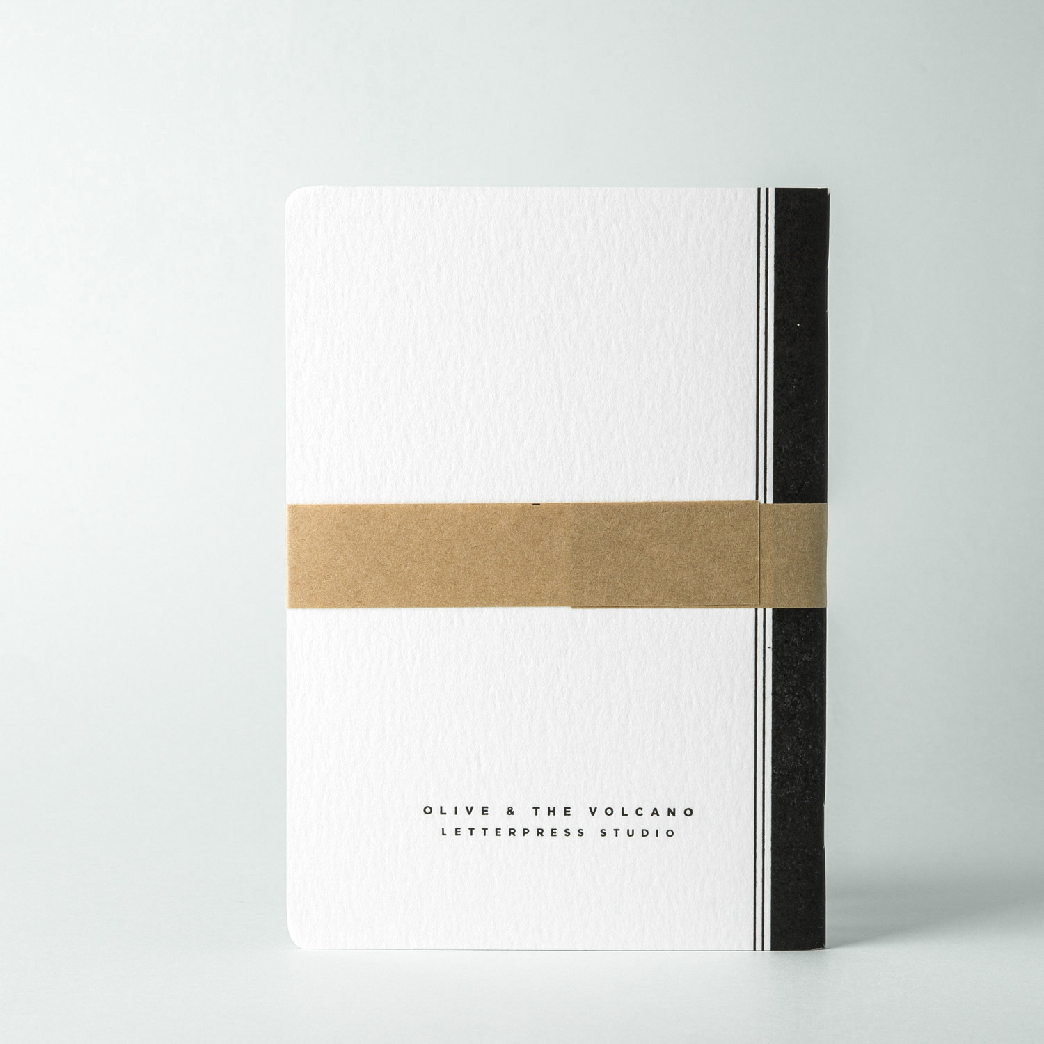 澳大利亚进口凸版笔记本-Olive and the Volcano凸版印刷笔记本A5（鹰图案）