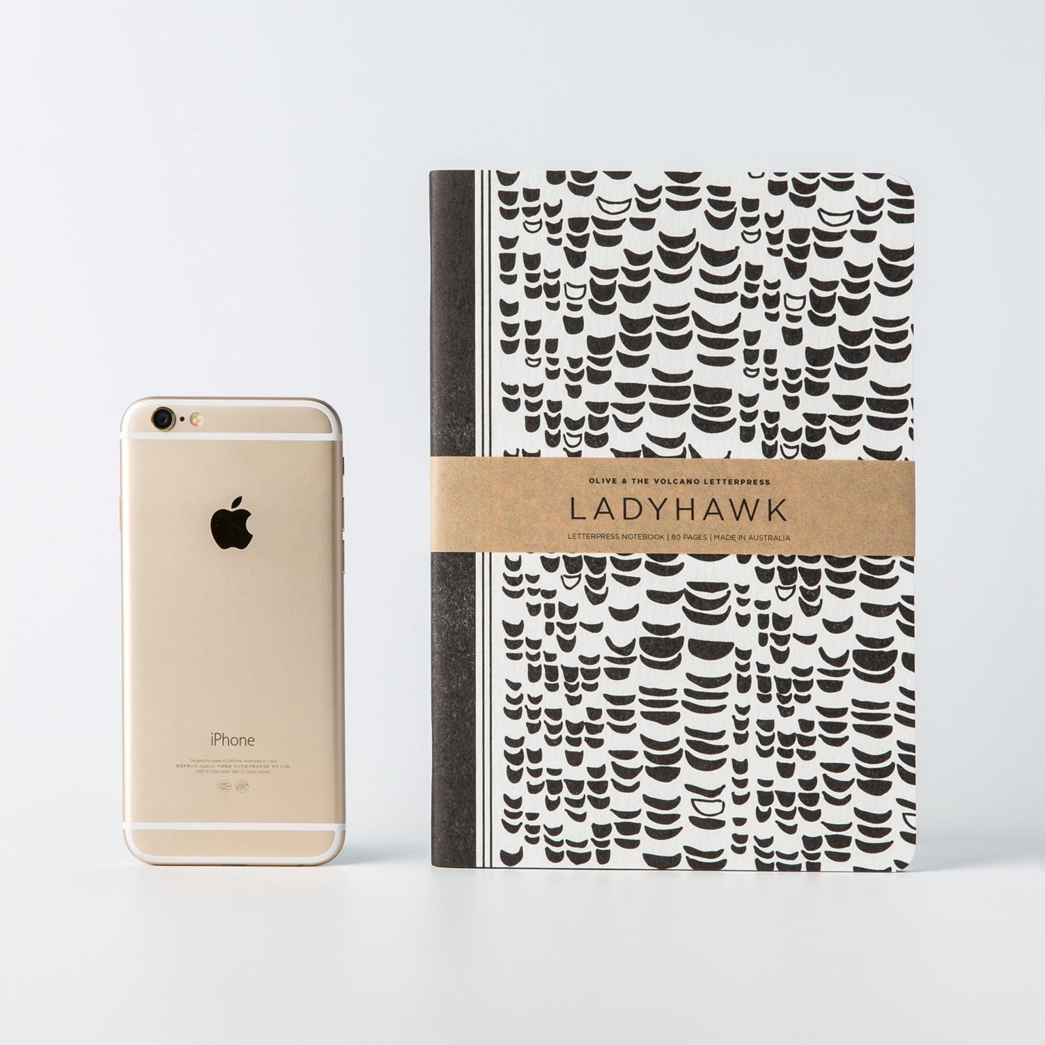 澳大利亚进口凸版笔记本-Olive and the Volcano凸版印刷笔记本A5（鹰图案）