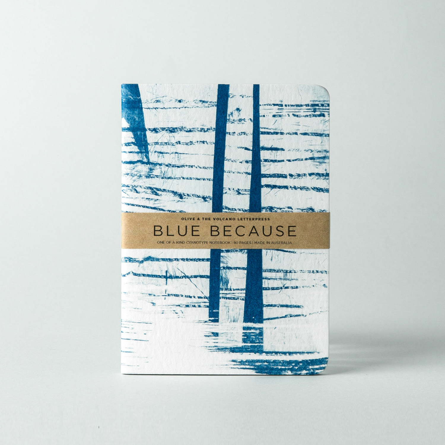 澳大利亚进口口袋型笔记本-Olive and the Volcano凸版印刷口袋笔记本A6(梦幻蓝)线装本 澳大利亚进口口袋型笔记本-Olive and the Volcano凸版印刷口袋笔记本A6(梦幻蓝)线装本