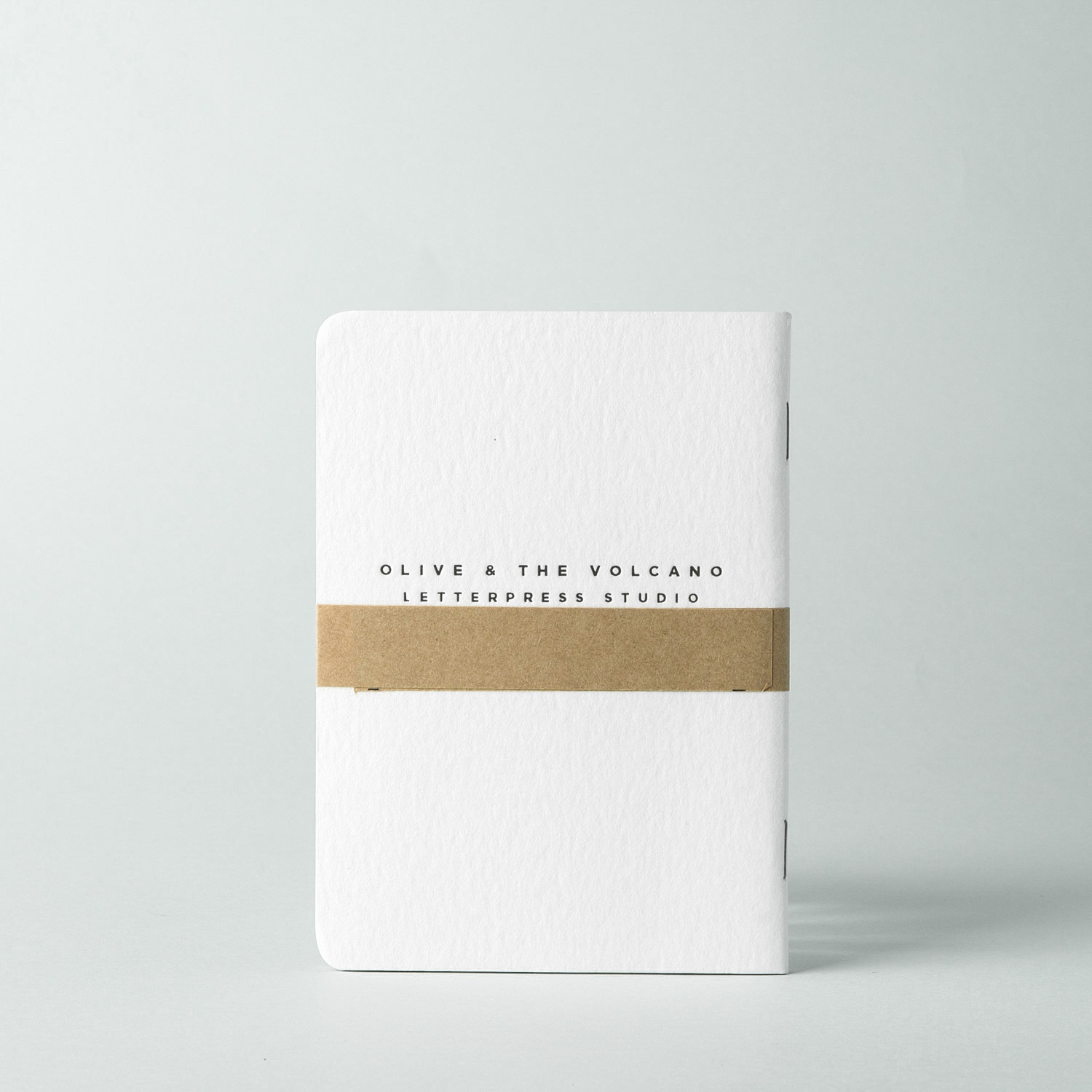 澳大利亚进口口袋笔记本-Olive and the Volcano复古凸版印刷口袋笔记本A6（鹰图案）