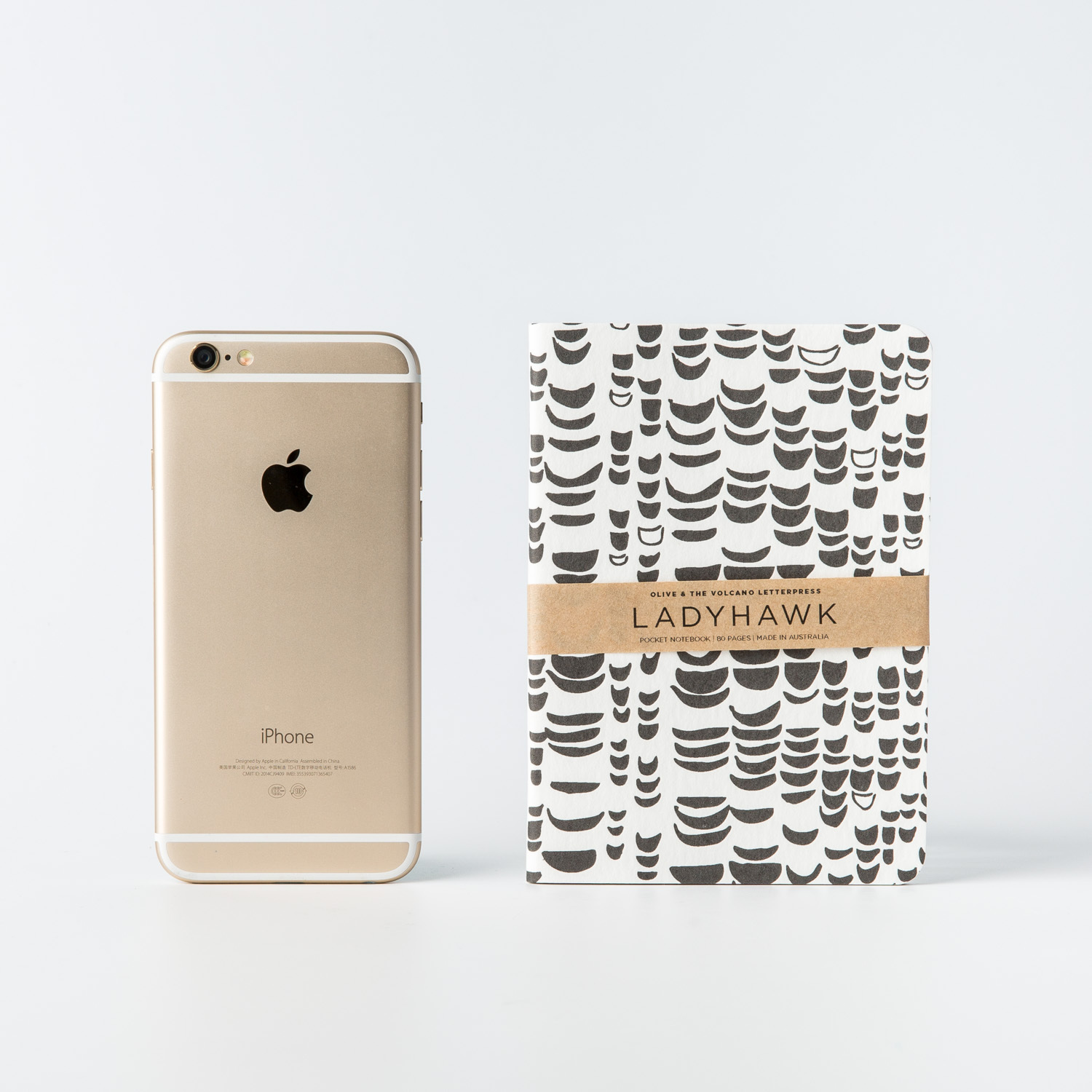 澳大利亚进口口袋笔记本-Olive and the Volcano复古凸版印刷口袋笔记本A6（鹰图案）