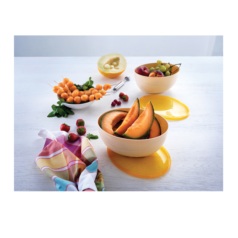 意大利进口厨房保鲜盒-SNIPS蜜瓜保鲜存储盒