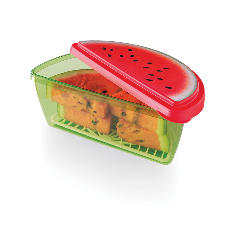 意大利进口抽真空保鲜盒-SNIPS西瓜保鲜存储盒