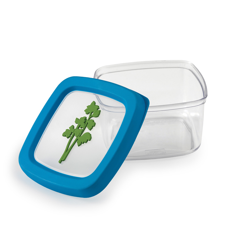 意大利进口分格保鲜盒-SNIPS豆类/果蔬/药草/香料保鲜盒0.5L