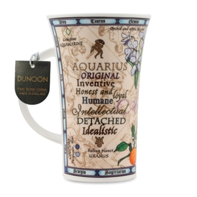 英国进口骨瓷单杯-丹侬Dunoon骨瓷水杯 峡谷型0.5L水瓶座