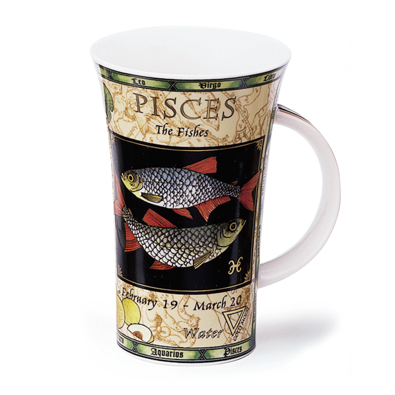 英国进口骨瓷品牌水杯-丹侬Dunoon骨瓷水杯 峡谷型 0.5L双鱼座 - 品牌水杯